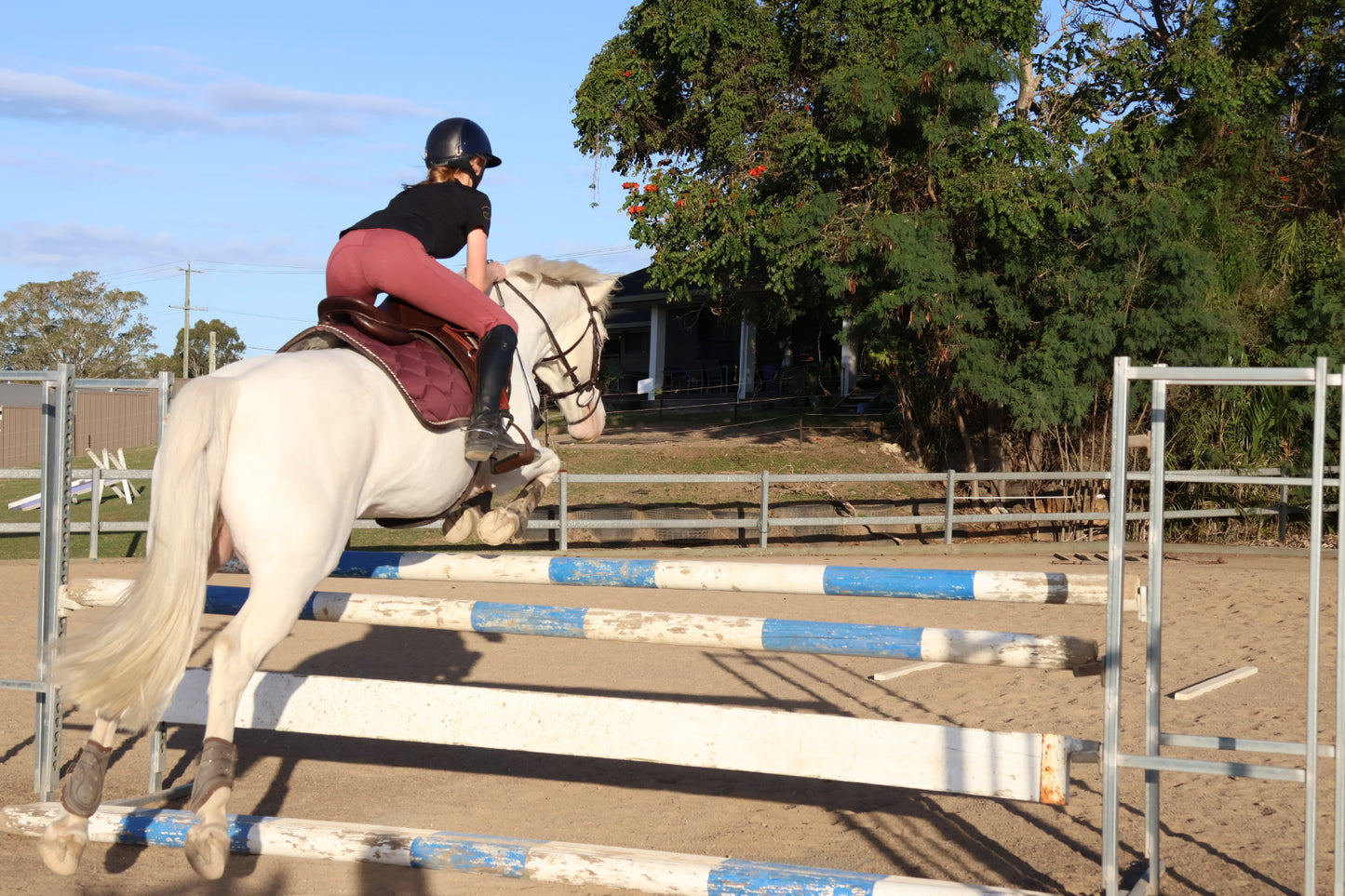 StrideFlex Riding Leggings - Red Violet